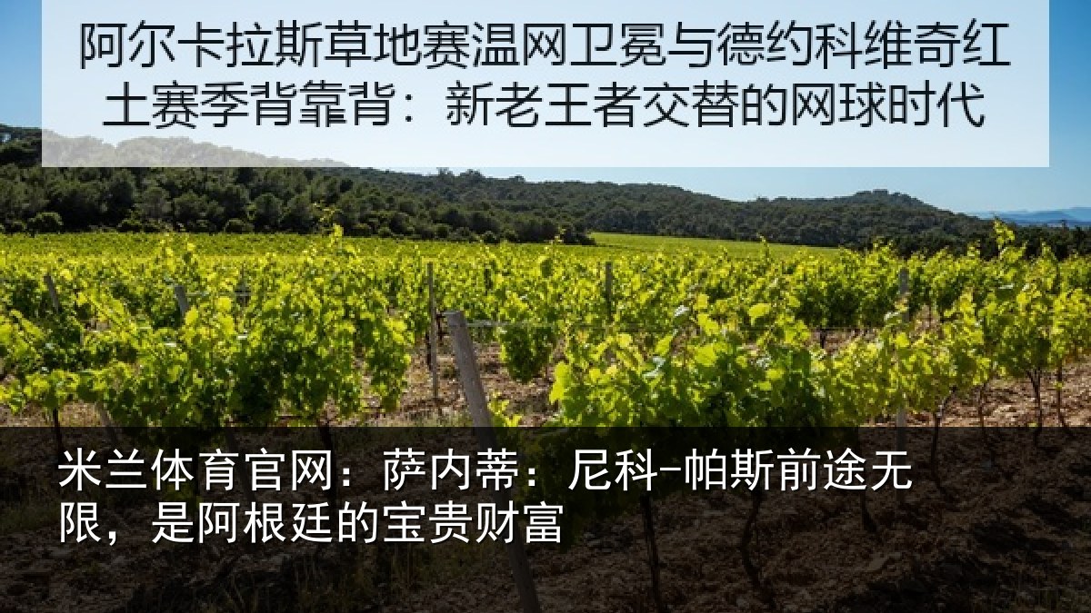 米兰体育官网：萨内蒂：尼科相关情况根廷的宝贵财富