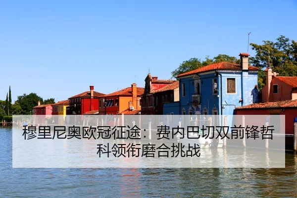mu-li-ni-ao-ou-guan-zheng-tu-fei-nei-ba-qie-shuang-qian-feng-zhe-ke-ling-xian-mo-he-tiao-zhan-3-199.jpg