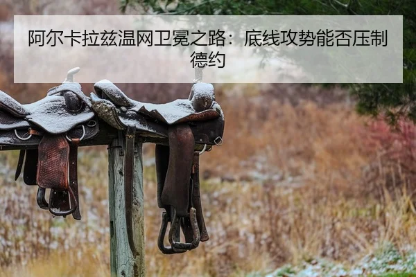 a-er-ka-la-zi-wen-wang-wei-mian-zhi-lu-di-xian-gong-shi-neng-fou-ya-zhi-de-yue-2-290.jpg