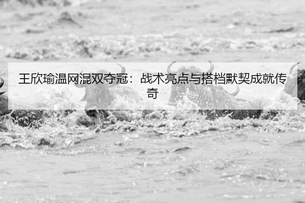 wang-xin-yu-wen-wang-hun-shuang-duo-guan-zhan-shu-liang-dian-yu-da-dang-mo-qi-cheng-jiu-chuan-qi-2-101.jpg