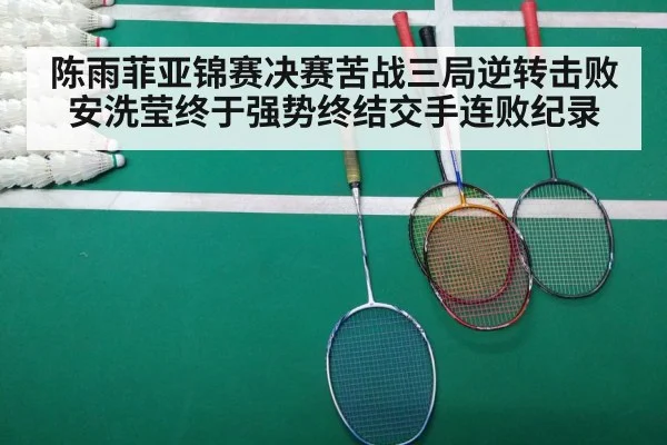 badminton final match