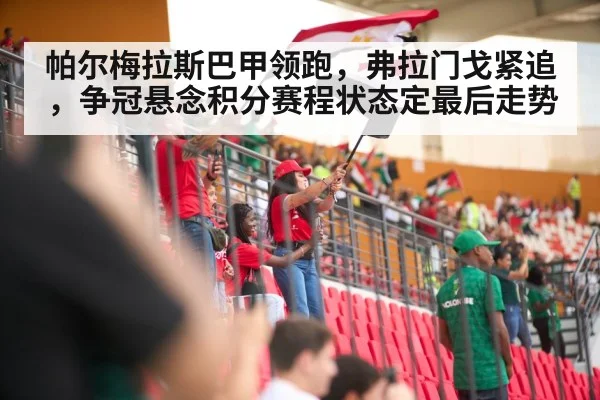 帕尔梅拉斯巴甲领跑，弗拉门戈紧追，争冠悬念积分赛程状态定最后走势
