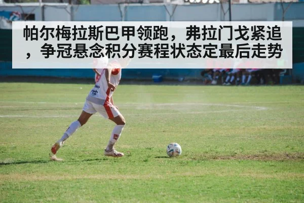 soccer players action